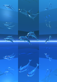 Dauphins en verre