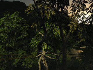Jungle